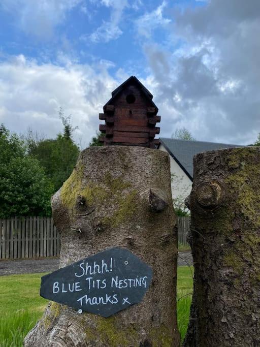 Pine Cabin, Strathyre. A Cosy Escape From It All. *