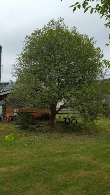 Holiday home Pine Cabin, Strathyre. A Cosy Escape From It All. Strathyre